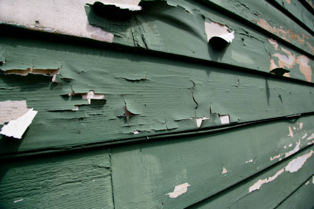 Affordable siding repair and maintenance services in Reading, PA